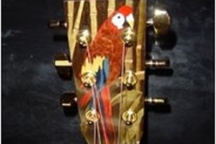 Parrot-Guitar-Head52dca7d412ac1